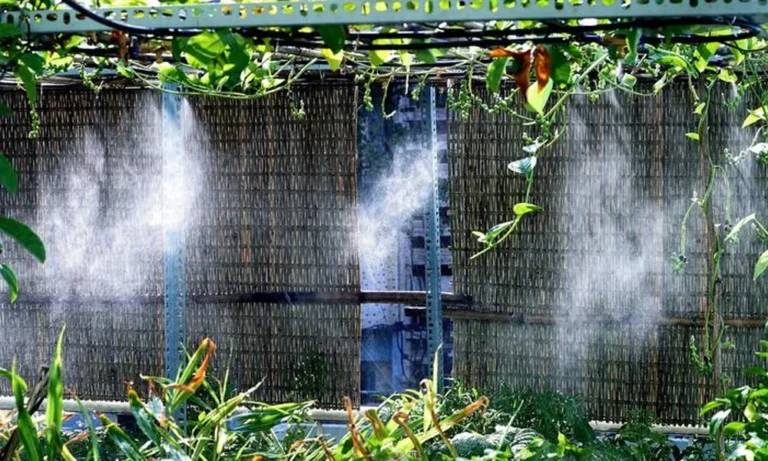 Dự án lắp đặt hệ thống phun sương làm mát tại xưởng may Bình Dương