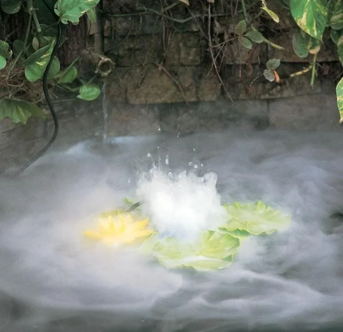 Bể cá